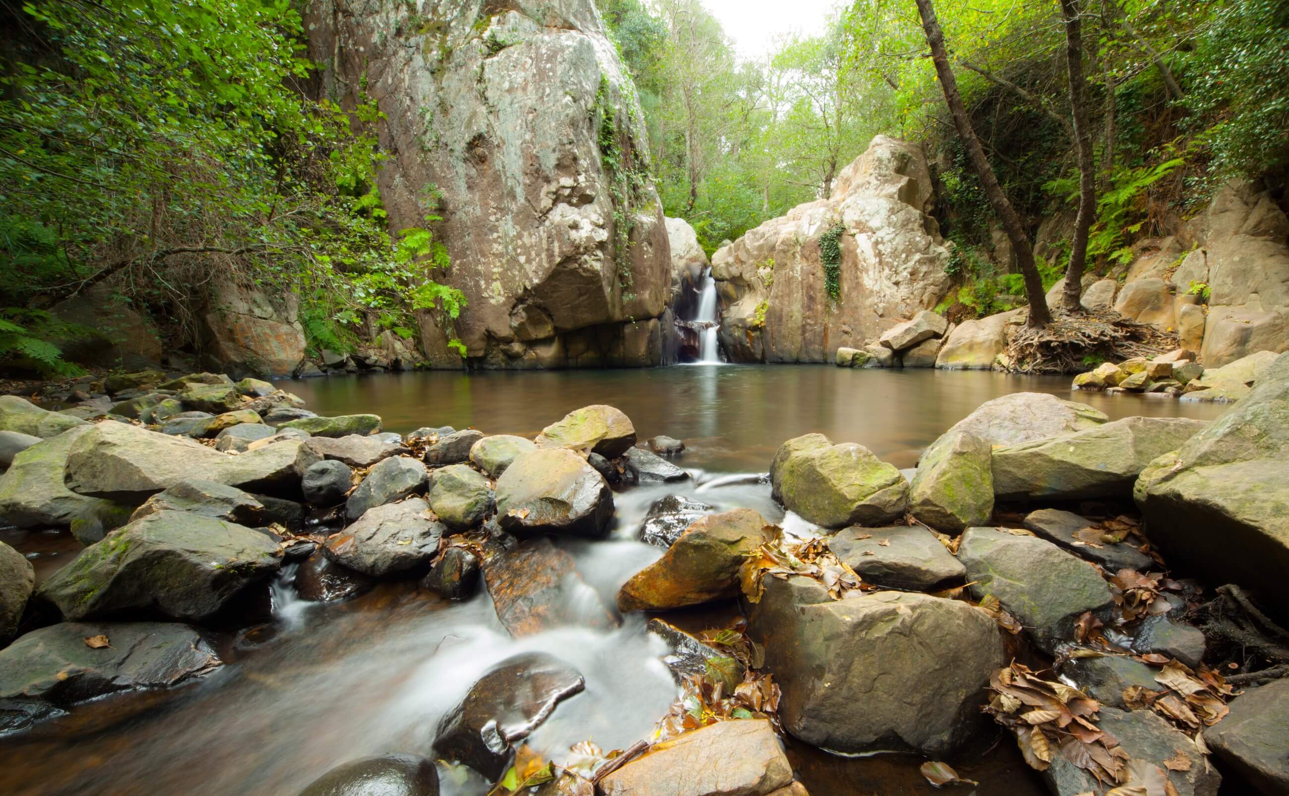 Foto de Sendero del Río de la Miel en Los Barrios, Cádiz